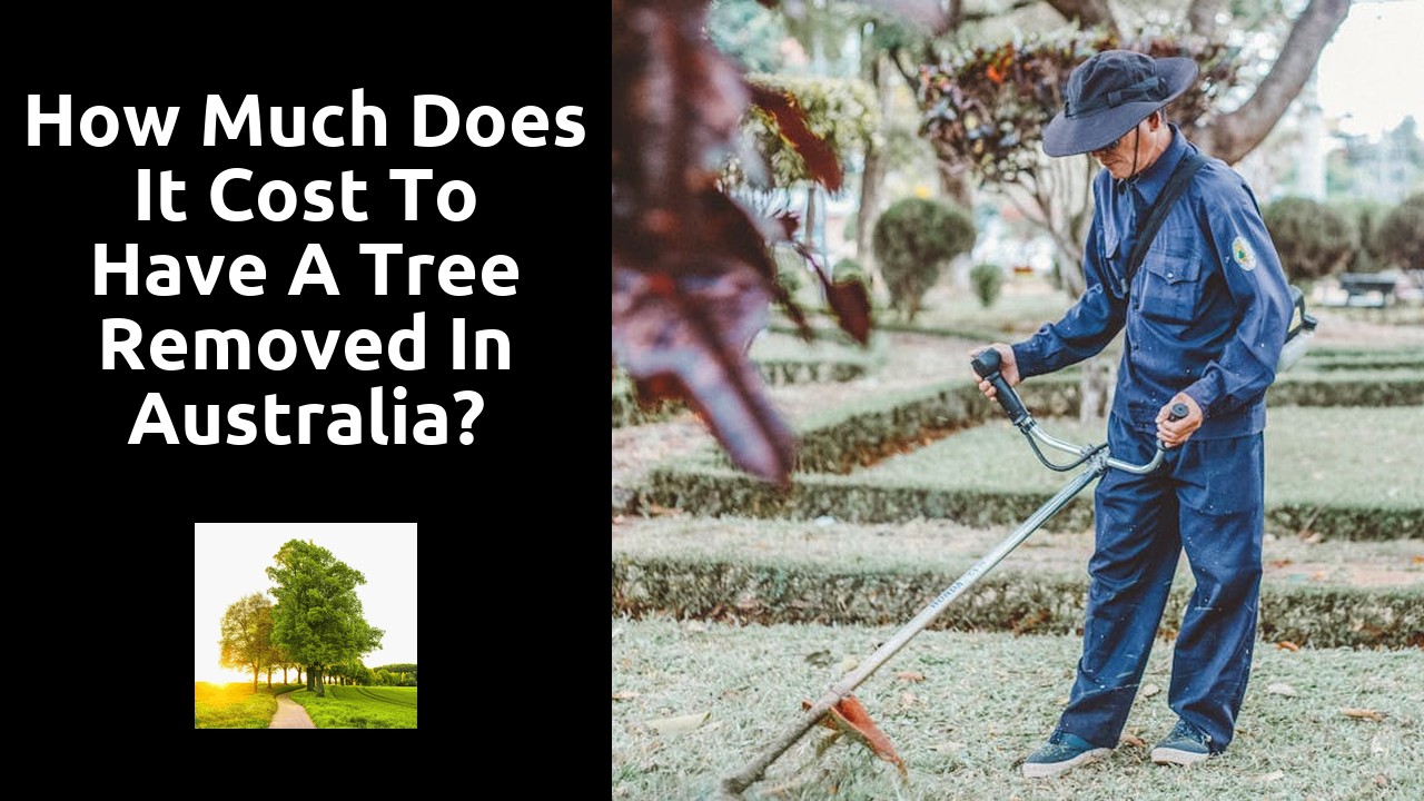 How much does it cost to have a tree removed in Australia?