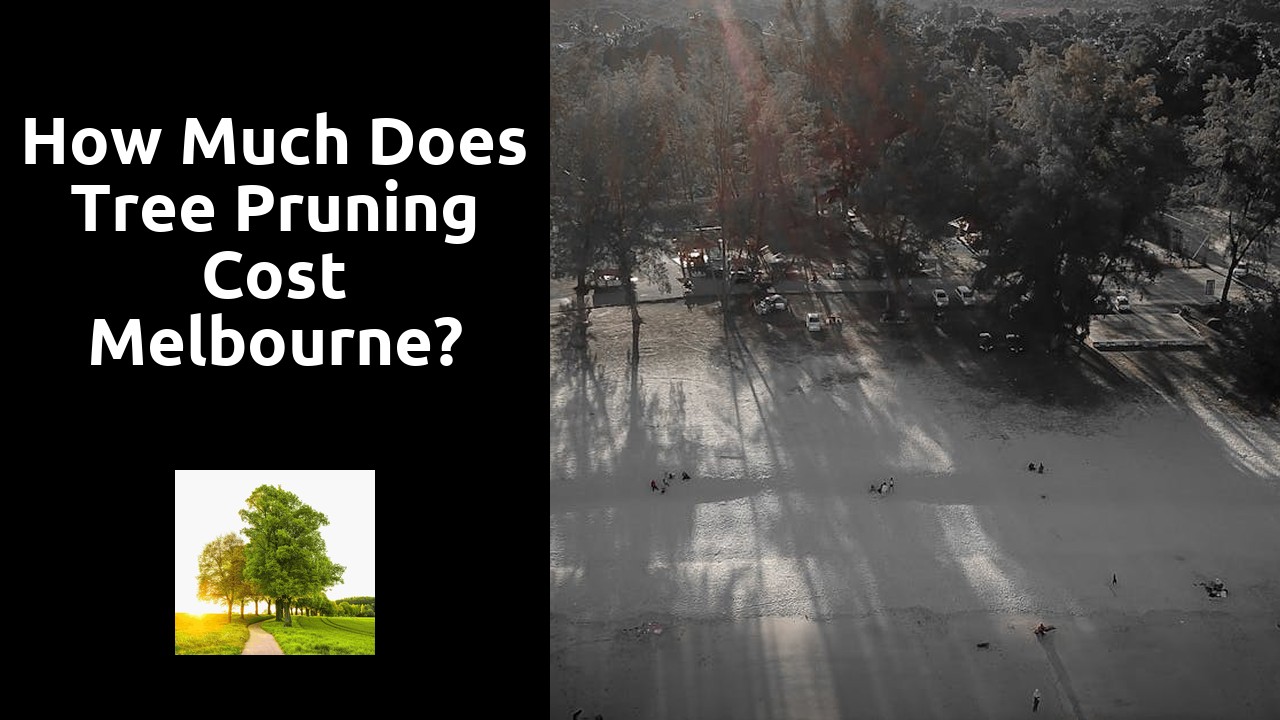 How much does tree pruning cost Melbourne?