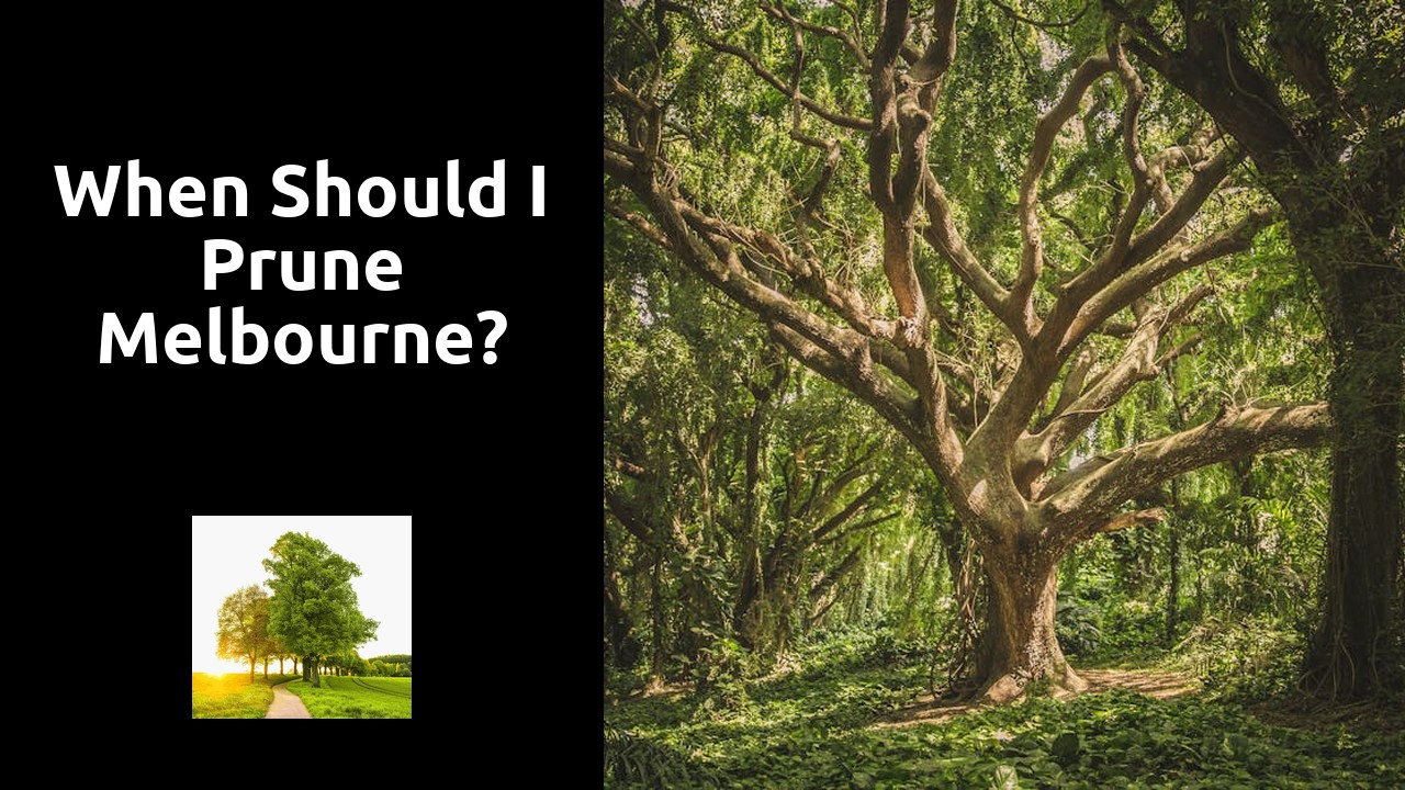 When should I prune Melbourne?